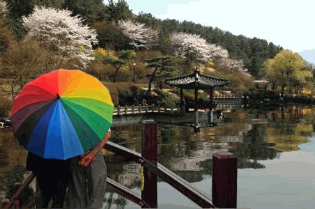 7eb42e09.gif image by NewBeginnings2